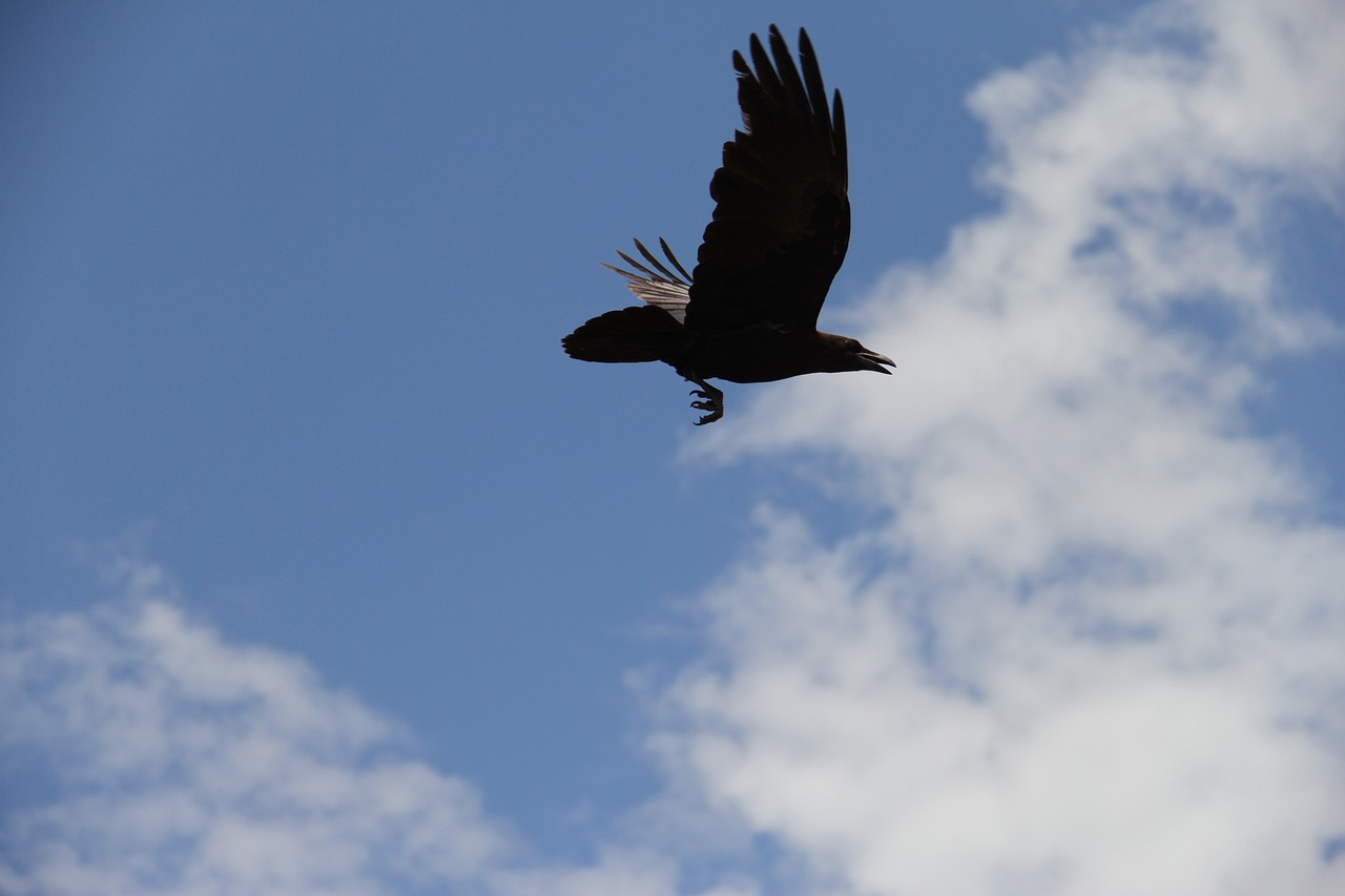 The Problem of Evil - A Theological and Philosophical Perspective